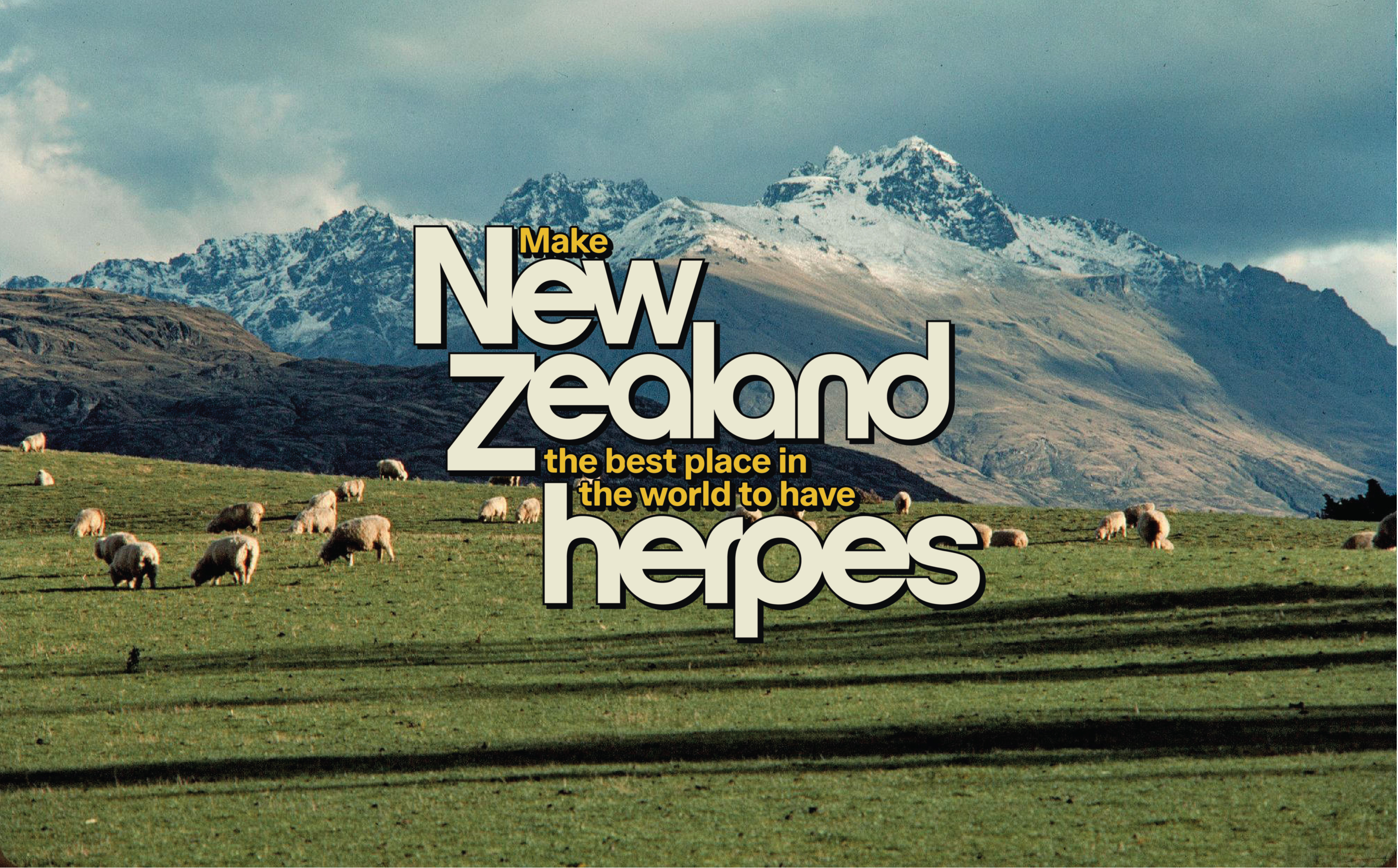 Dark markets new zealand