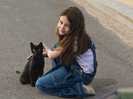 Black Cat
