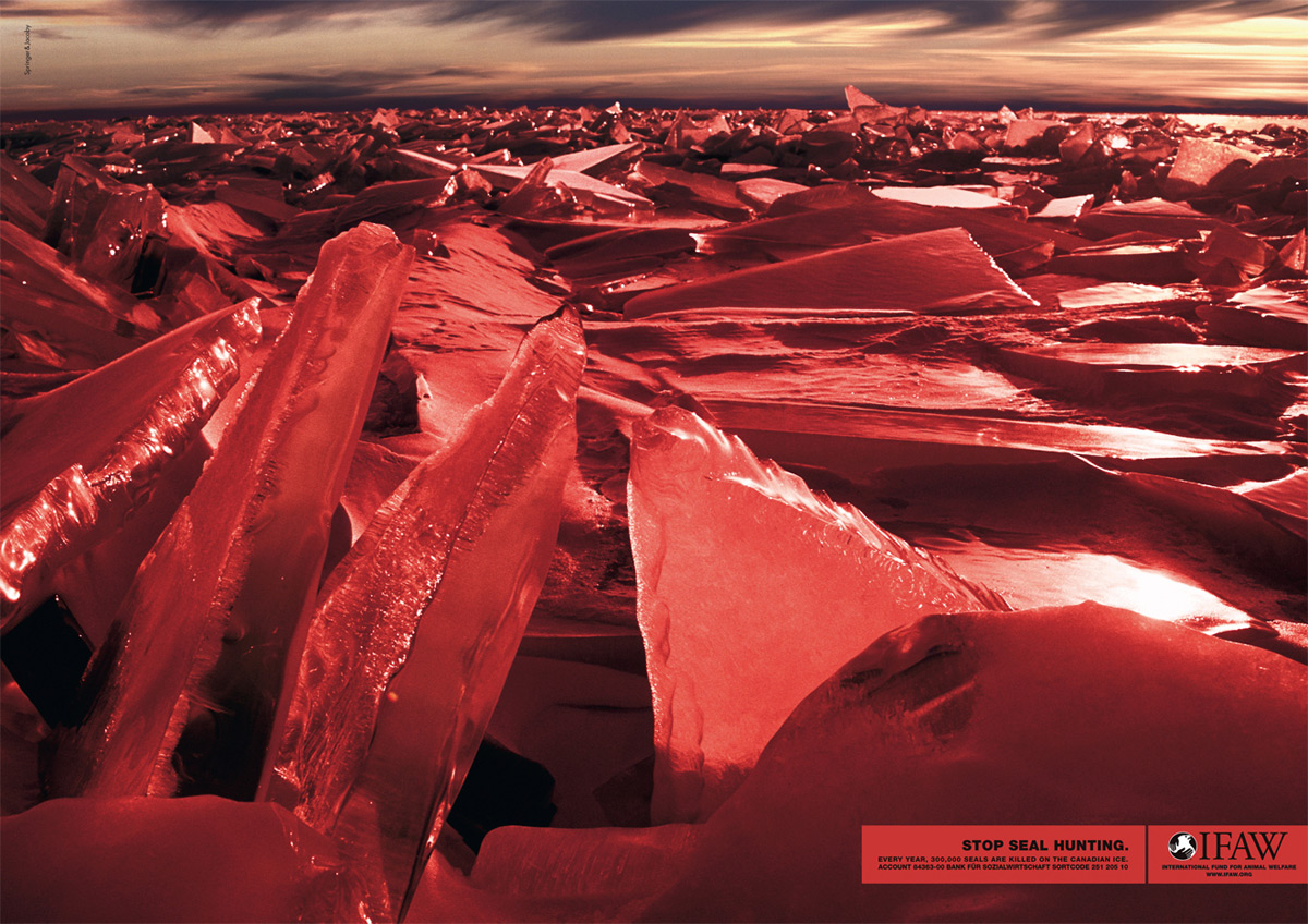 розовые кубики льда. красный ледяной. красный снег в антарктиде. красный рубин красный рубин. красный ледяной.