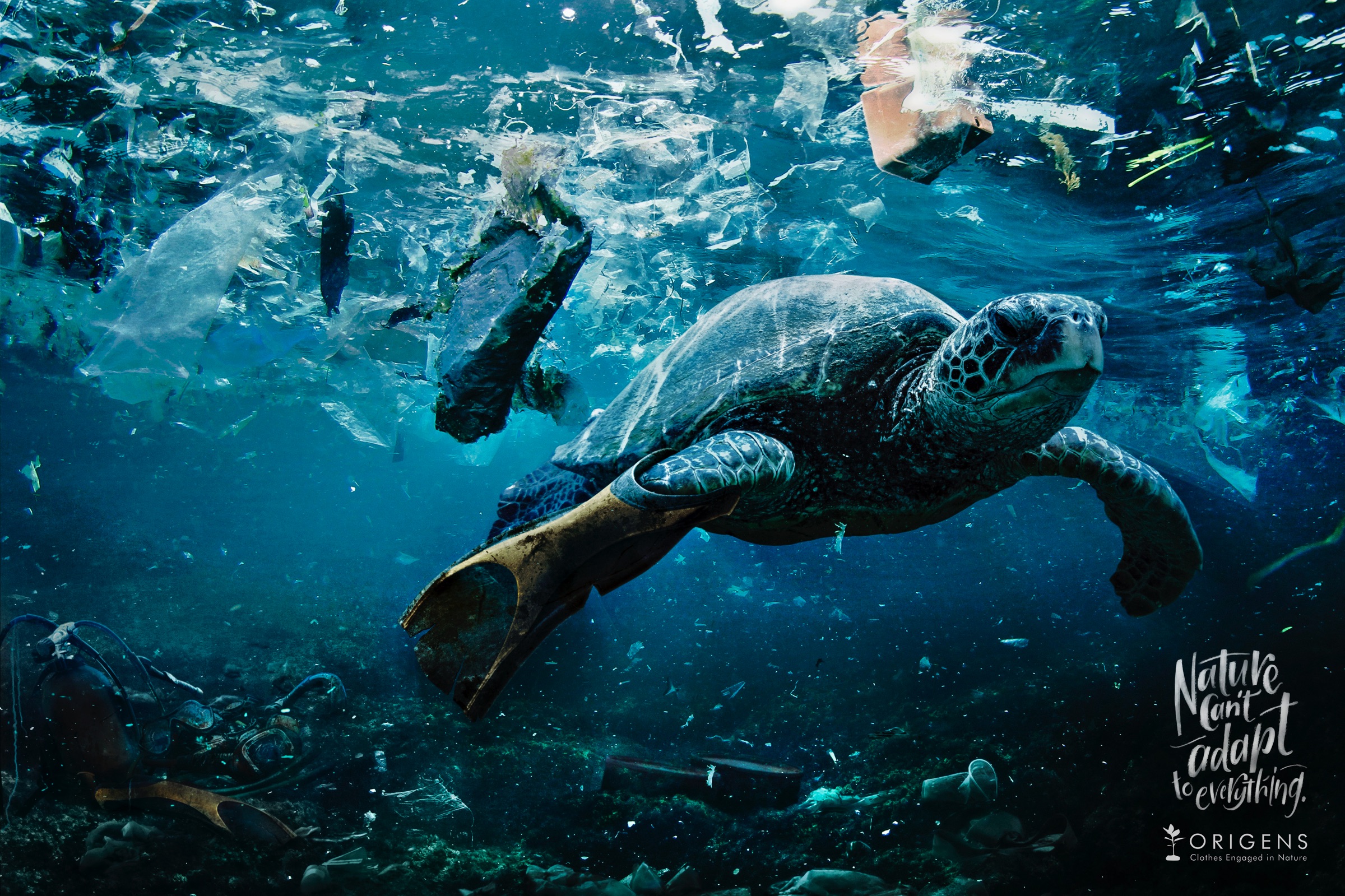 Рыбы прилипалы. Тигровая акула и черепаха. Дельфин и черепаха. Голубая морская черепаха. Черепаха и акула.